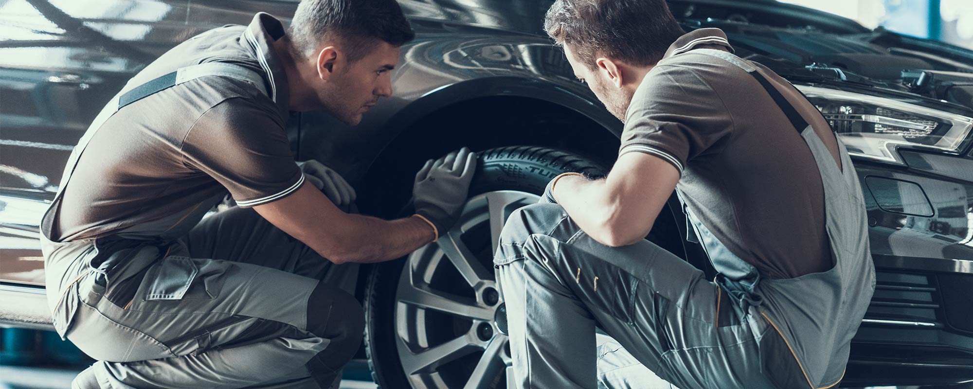 Domestic Auto Services in Lakewood, CO